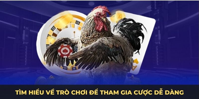 Tìm hiểu về trò chơi để tham gia cược dễ dàng